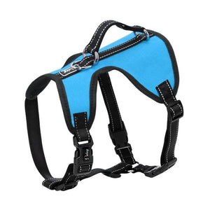 Dual Fit Reversible Harness