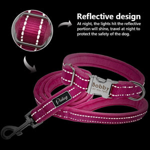 Personalised dog collar with engraving and matching leash set